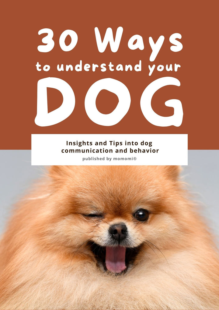 30 Ways to Understand Your Dog