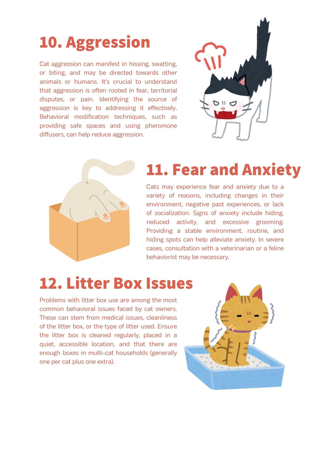 30 Ways to Understand Your Cat