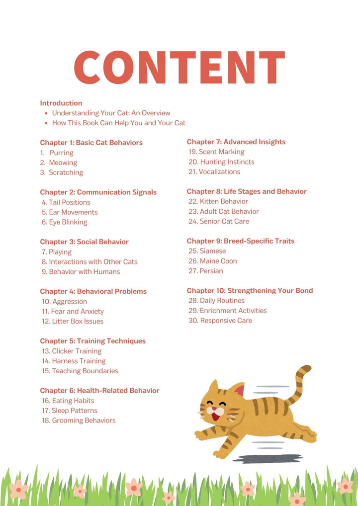 30 Ways to Understand Your Cat