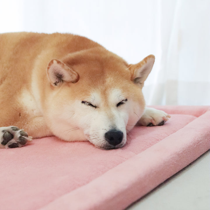 Momomi® Pet Mat