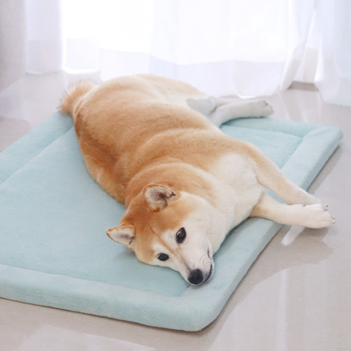 Momomi® Pet Mat