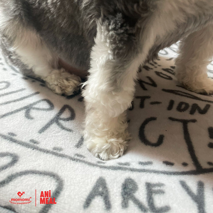 Momomi® x ANiMEAL Pet Mat